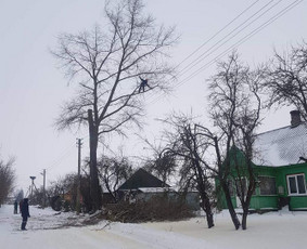 ArbCut atliktų darbų nuotrauka 5