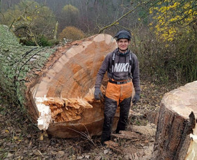 ArbCut atliktų darbų nuotrauka 6