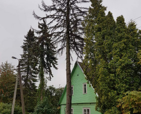 ArbCut atliktų darbų nuotrauka 14