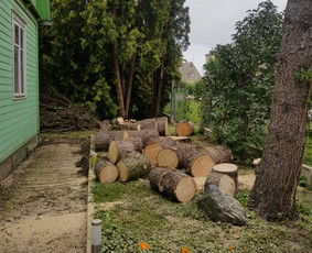 ArbCut atliktų darbų nuotrauka 16