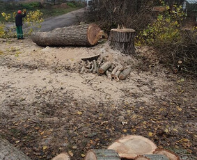 ArbCut atliktų darbų nuotrauka 20
