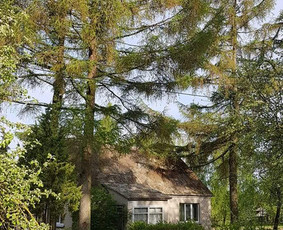 ArbCut atliktų darbų nuotrauka 34