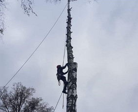 ArbCut atliktų darbų nuotrauka 41