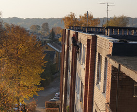 ArbCut atliktų darbų nuotrauka 63