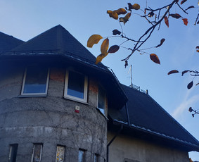 ArbCut atliktų darbų nuotrauka 66
