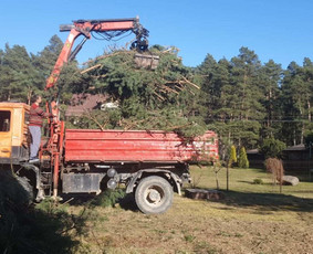 ArbCut atliktų darbų nuotrauka 73