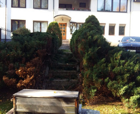ArbCut atliktų darbų nuotrauka 79